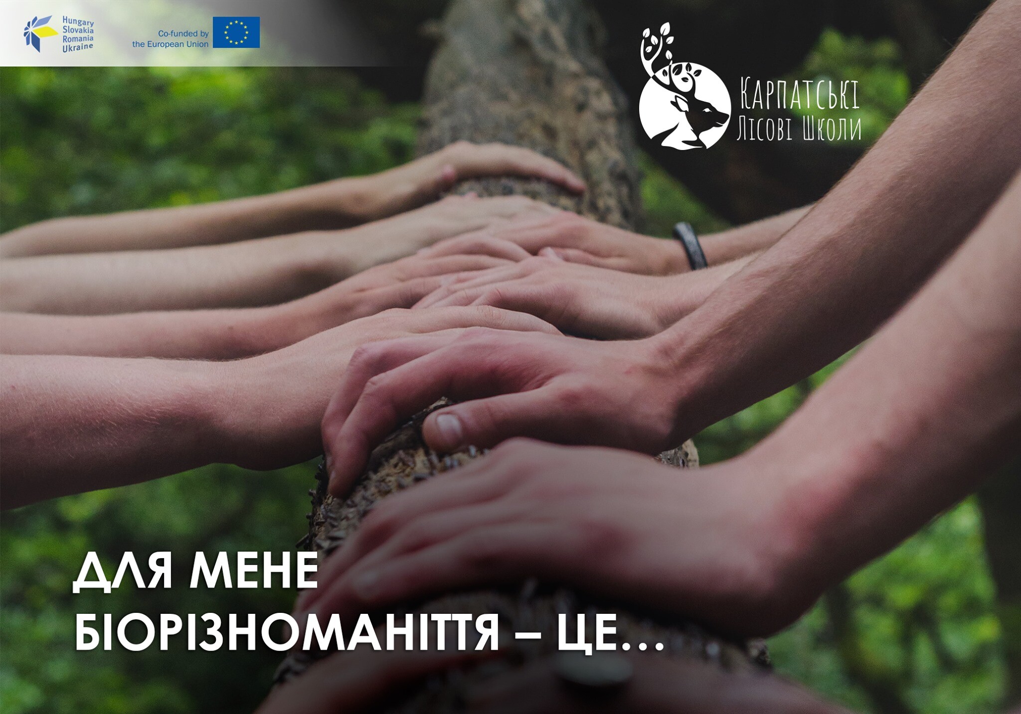 A contest announced within CARPATHIAN FOREST SCHOOLs project