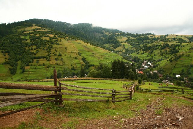 img6312.jpg