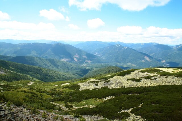 img7556.jpg